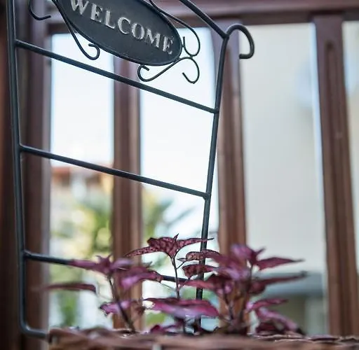 House Kostas On The Sarti